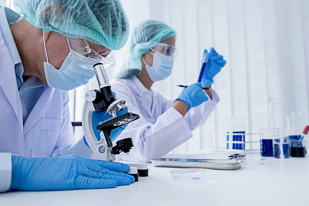 Jak zweryfikować czystość peptydu badawczego? Certyfikat COA i analiza HPLC krok po kroku