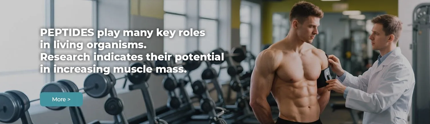 PEPTIDES play many key roles in living organisms. Research indicates their potential in increasing muscle mass.
