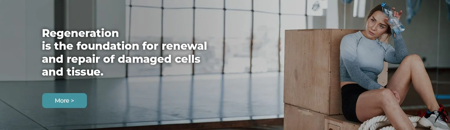 Regeneration is the foundation for renewal and repair of damaged cells and tissue.