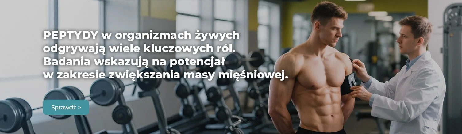 PEPTYDY w organizmach żywych odgrywają wiele kluczowych ról. Badania wskazują na potencjał w zakresie zwiększania masy mięśniowej.